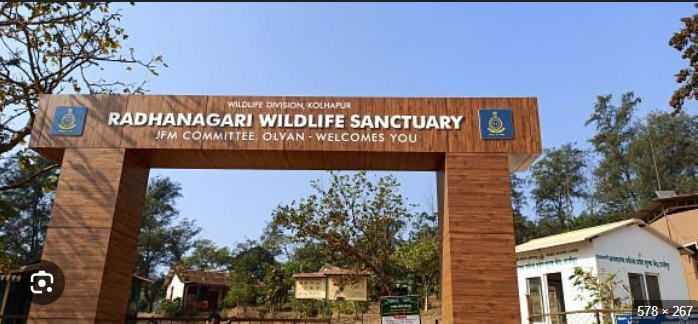 Radhanagari Wildlife Sanctuary